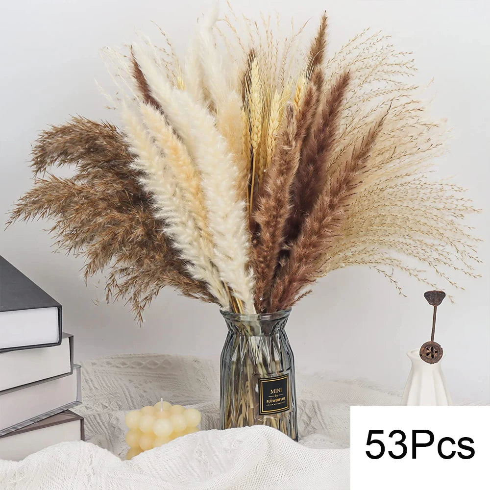 Pampas Grass Decor Bouquet Natural Fluffy Dried Flowers