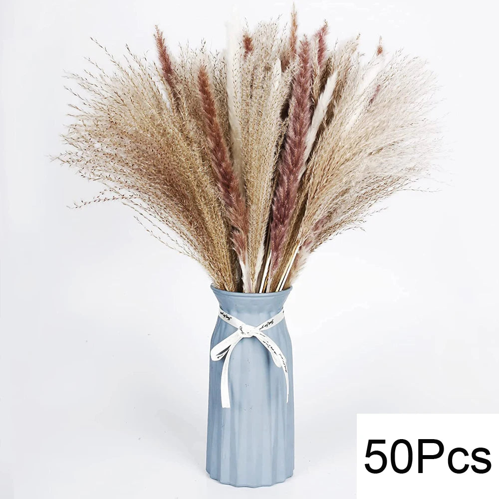 Pampas Grass Decor Bouquet Natural Fluffy Dried Flowers