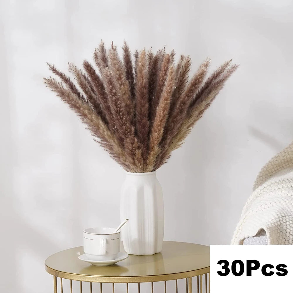 Pampas Grass Decor Bouquet Natural Fluffy Dried Flowers