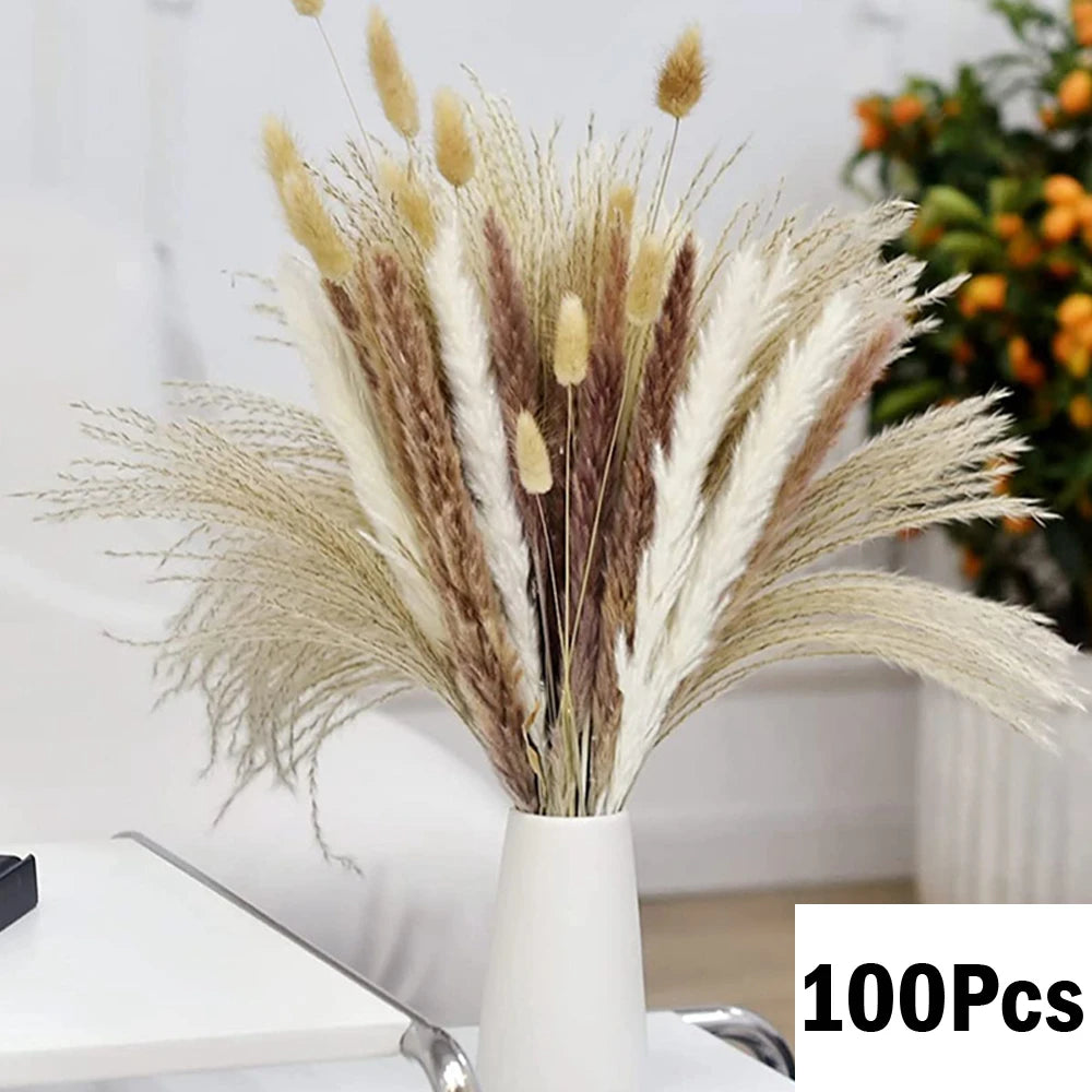 Pampas Grass Decor Bouquet Natural Fluffy Dried Flowers