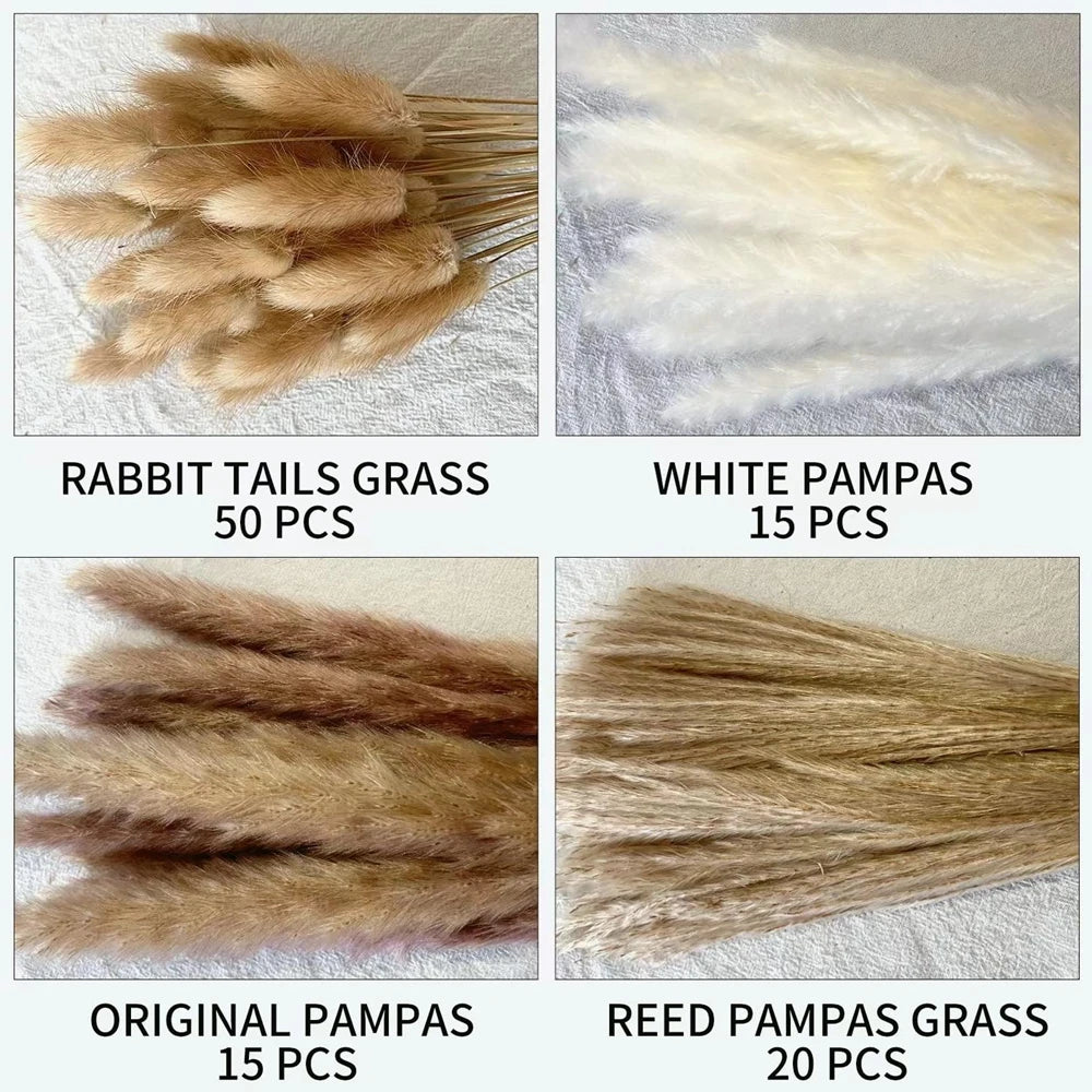 Pampas Grass Decor Bouquet Natural Fluffy Dried Flowers