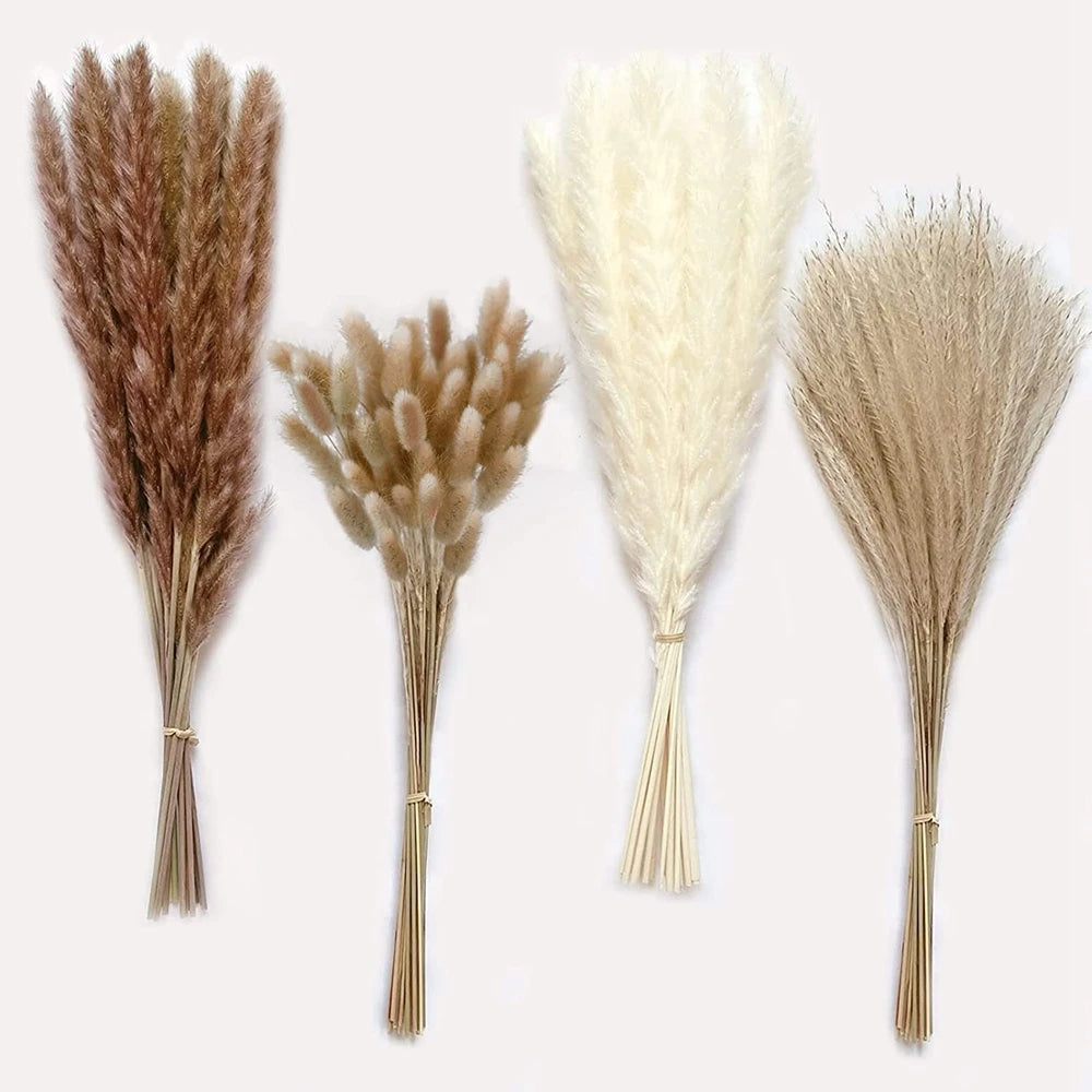 Pampas Grass Decor Bouquet Natural Fluffy Dried Flowers
