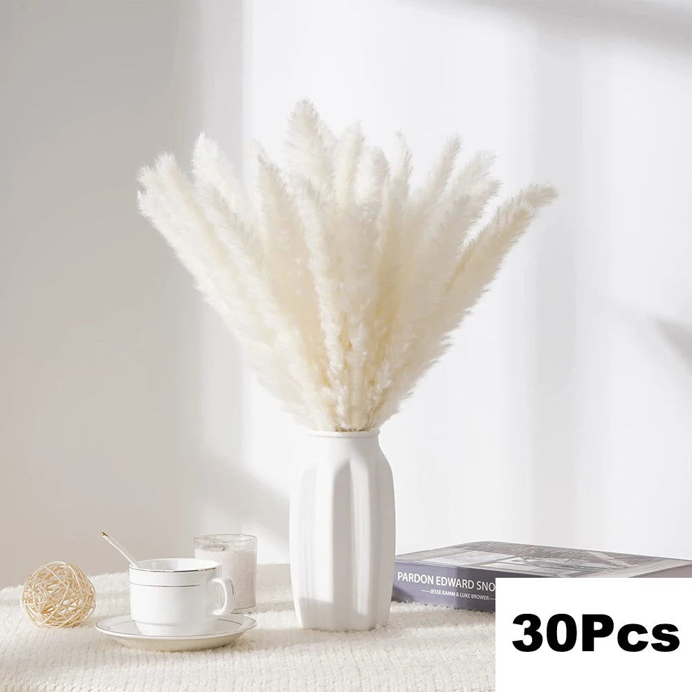Pampas Grass Decor Bouquet Natural Fluffy Dried Flowers
