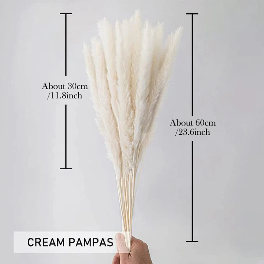 Pampas Grass Decor Bouquet Natural Fluffy Dried Flowers