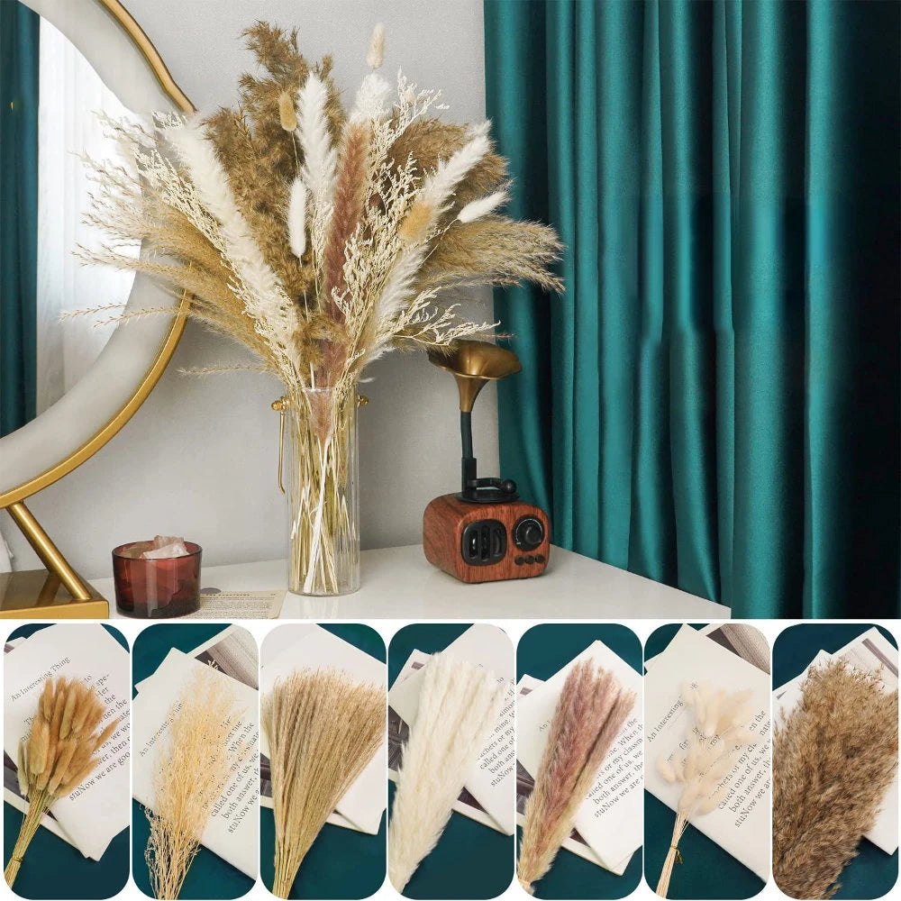 Pampas Grass Decor Bouquet Natural Fluffy Dried Flowers