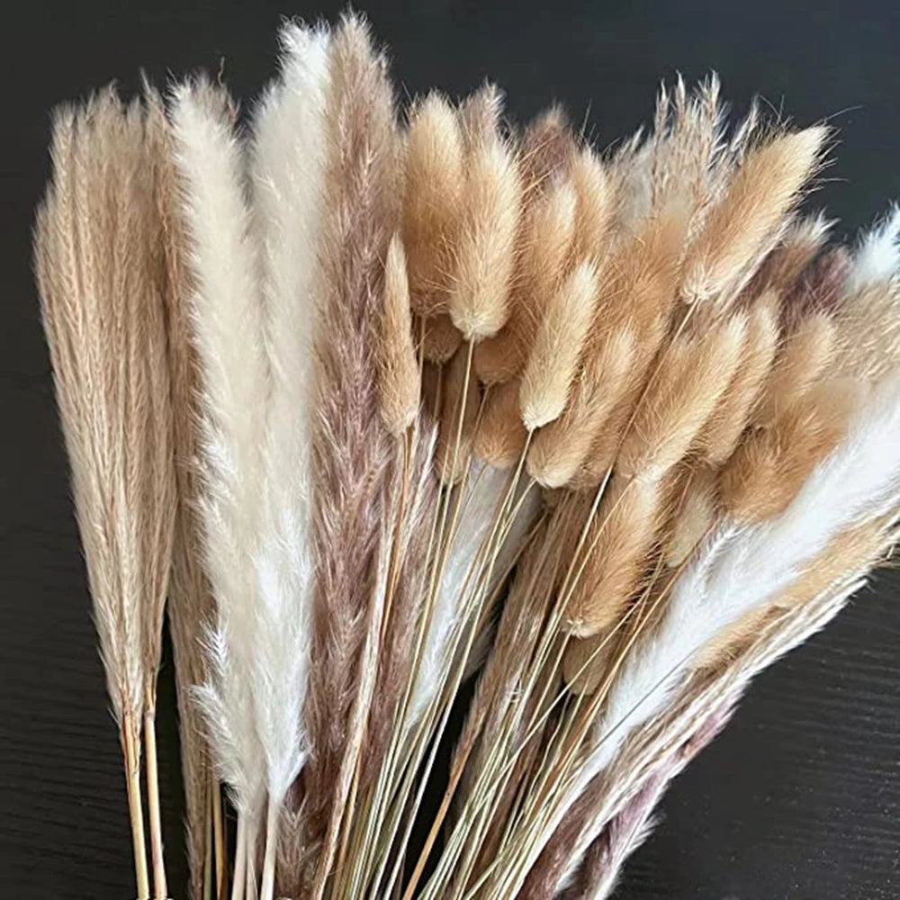 Pampas Grass Decor Bouquet Natural Fluffy Dried Flowers